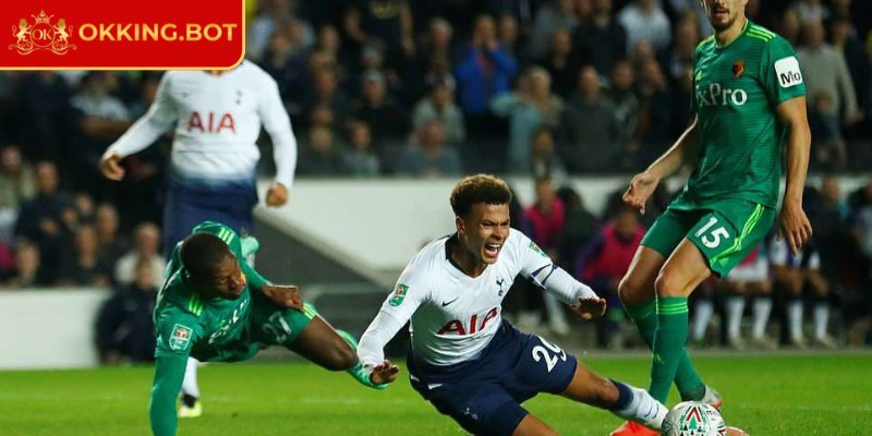 Hướng dẫn đọc đơn giản cho người mới tham gia