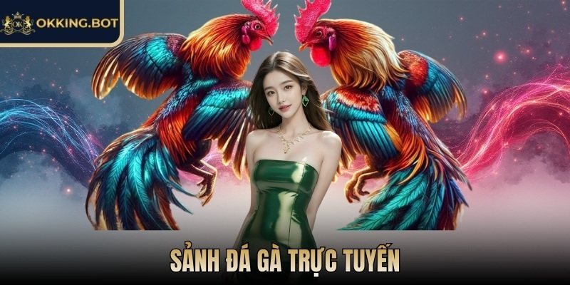 OKKING | OK KING | Link Đăng Nhập OKKING.COM Không Bị Chặn 12/2025 29 Sảnh Đá Gà trực tuyến