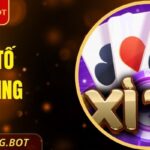 Xì Tố OKKING - Cách Chơi Dễ Thắng Nhất Dành Cho Newbie